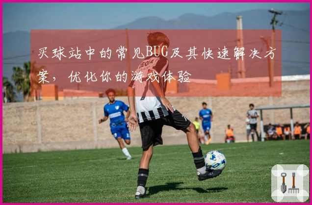 买球站中的常见BUG及其快速解决方案，优化你的游戏体验