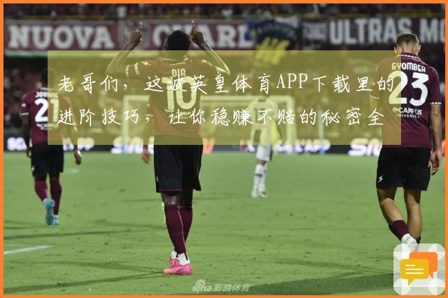 老哥们，这波英皇体育APP下载里的进阶技巧，让你稳赚不赔的秘密全在这了！