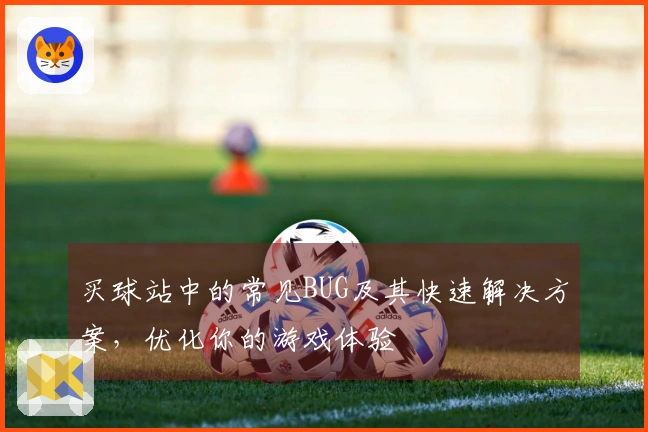 买球站中的常见BUG及其快速解决方案，优化你的游戏体验